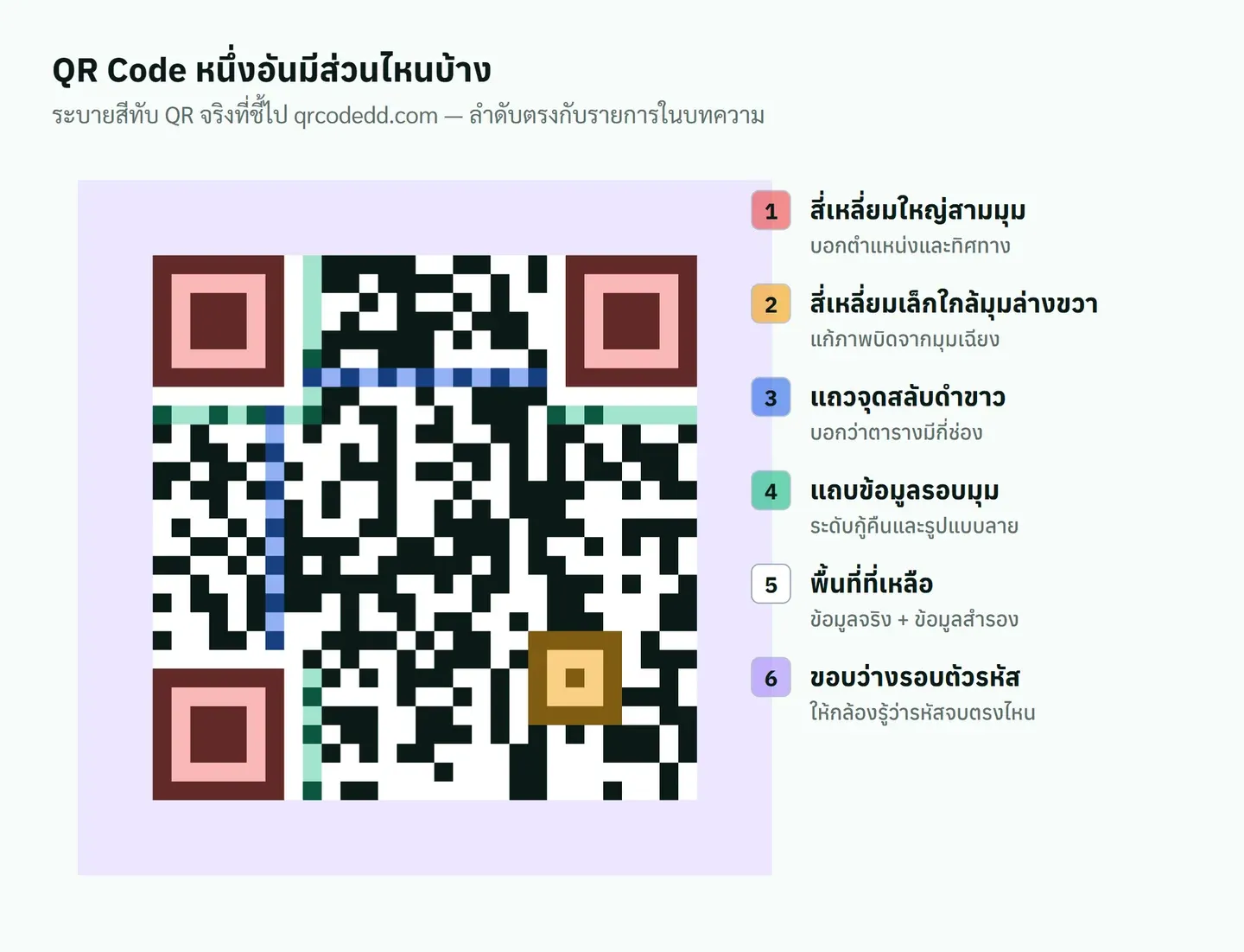 QR Code จริงที่ระบายสีแยกส่วน สี่เหลี่ยมใหญ่สามมุม สี่เหลี่ยมเล็ก แถวจุดสลับ แถบข้อมูลรอบมุม พื้นที่ข้อมูล และขอบว่าง